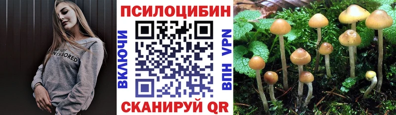 Галлюциногенные грибы Psilocybe Кингисепп